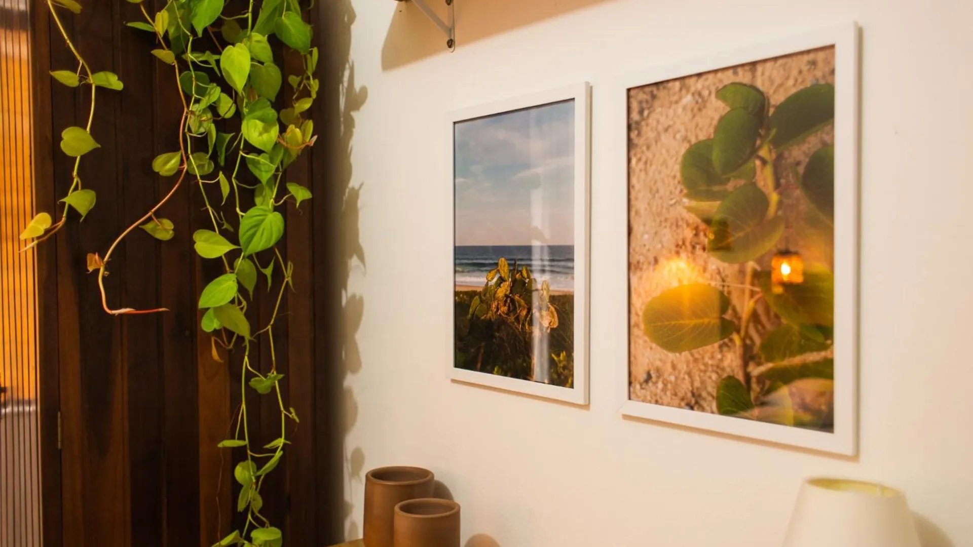 Babitonga Hostel - 100M Da Prainha Sao Francisco do Sul Βραζιλία